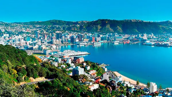 10 Things to Expect in New Zealand Before You Arrive