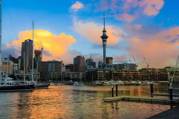 How to Apply as Nurses in New Zealand