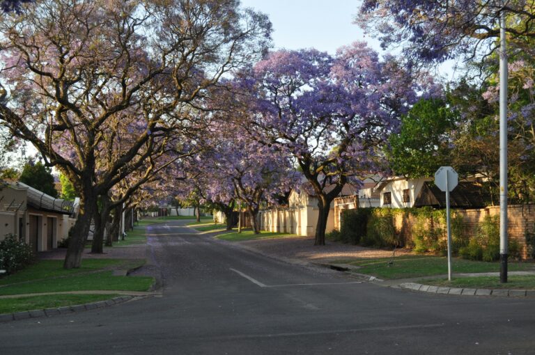 What to Expect From Your Aussie Neighbours (and What They Expect From You)