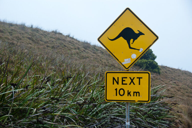 11 Essential Australia Safety Tips for Visitors and Tourists