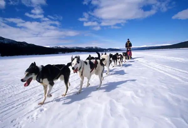 Top Winter Activities in Canada