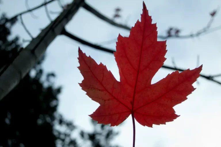 9 Dos and Don’ts When Visiting Canada