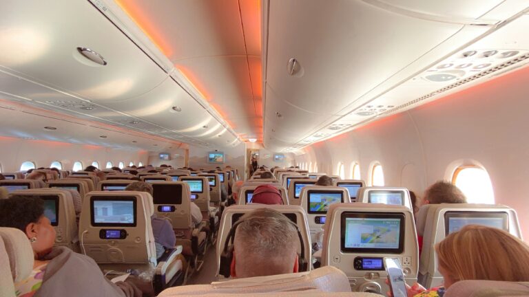 Things Banned Items You Should Not Bring to the UAE